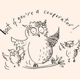 Wise owls have fun